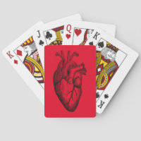 Anatomie cardiaque Science Arrière - plan rouge