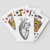 Anatomie du coeur