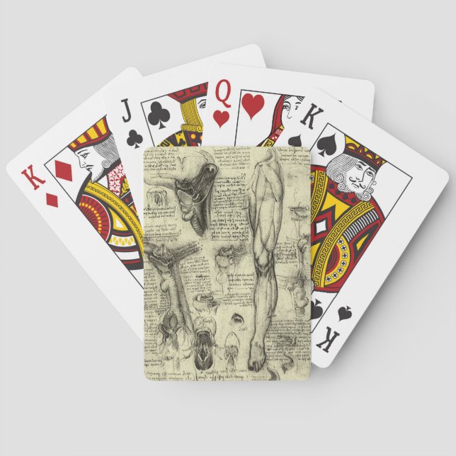 Jeu De Cartes Anatomie humaine vintage du larynx de la jambe de  (dos)