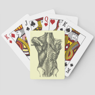 Jeu De Cartes Anatomie vintage
