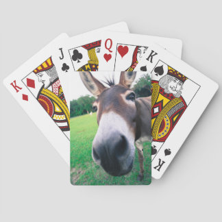 Jeu De Cartes Âne