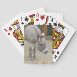 Jeu De Cartes Âne doux, Gris animal, Famille de chevaux