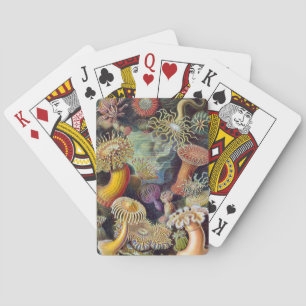 Jeu De Cartes Anémone de mer scientifique nature océan