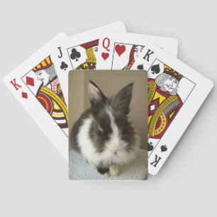 Jeu De Cartes Angora Black White Rabbit Jouer des cartes