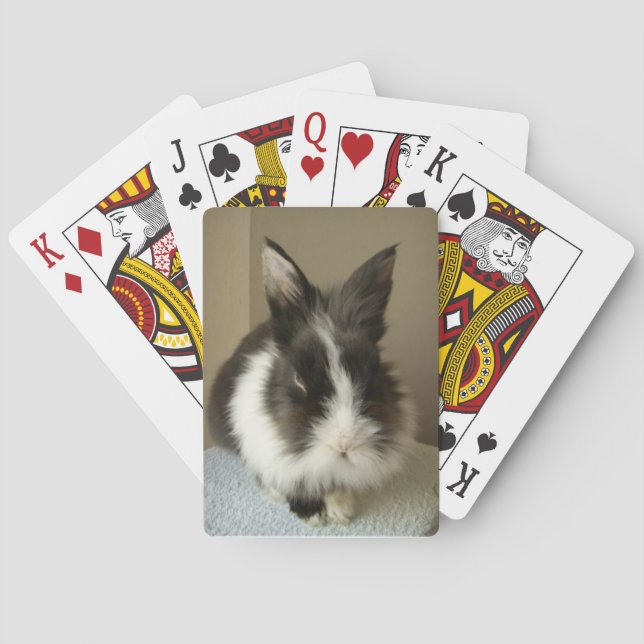 Jeu De Cartes Angora Black White Rabbit Jouer des cartes (dos)