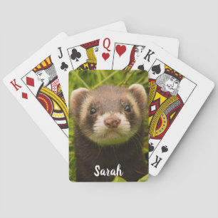 Jeu De Cartes Animal Brown Bandit Ferret dans l'herbe