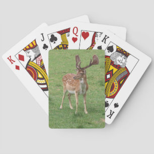 Jeu De Cartes animal, cerf, faune, forêt, prairie, chasse, n