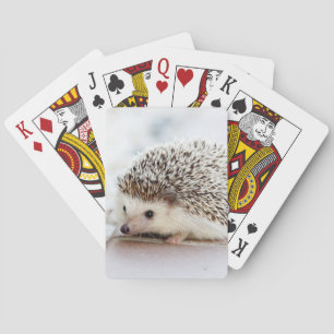 Jeu De Cartes Animal mignon de hérisson de bébé