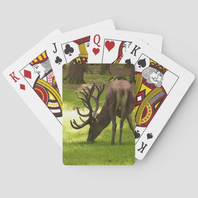 Jeu De Cartes animal sauvage wapiti vélo jouer aux cartes (dos)
