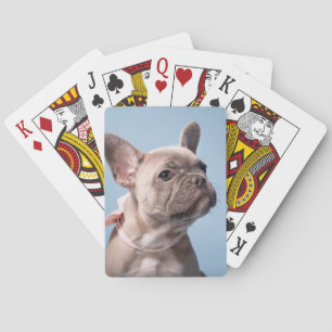 Jeu De Cartes Animaux bébés les plus mignons Bouldog français