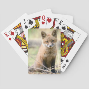 Jeu De Cartes Animaux de bébés cutest   Baby Fox
