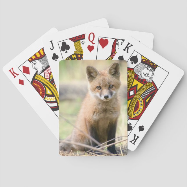 Jeu De Cartes Animaux de bébés cutest | Baby Fox (dos)