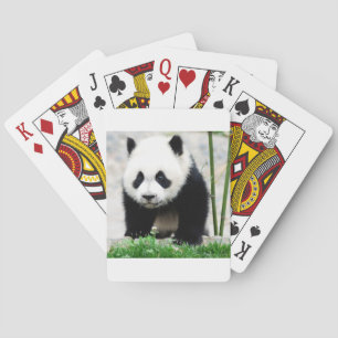 Jeu De Cartes Animaux de bébés cutest Baby Panda Bear