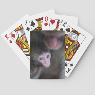 Jeu De Cartes Animaux de bébés cutest Bébé Macaque singe et mè