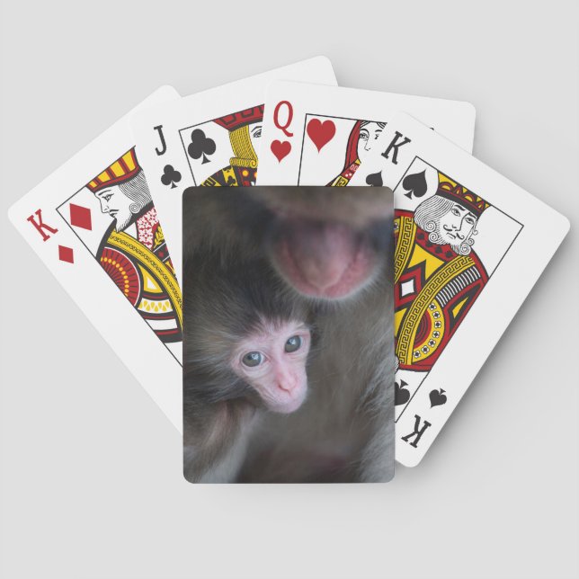 Jeu De Cartes Animaux de bébés cutest | Bébé Macaque singe et mè (dos)
