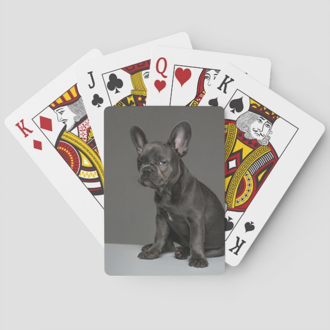 Jeu De Cartes Animaux de bébés cutest | Blue French Bulldog Pupp (dos)
