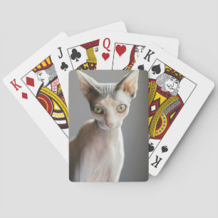 Jeu De Cartes Animaux de bébés cutest   Chat Sphinx