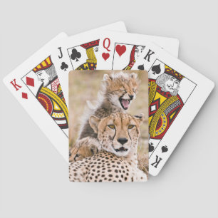 Jeu De Cartes Animaux de bébés cutest Cheetah Cat & Cub