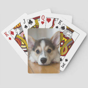 Jeu De Cartes Animaux de bébés cutest   Corgi Puppy