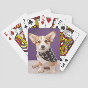 Jeu De Cartes Animaux de bébés cutest   Corgi Puppy Skull Bandan