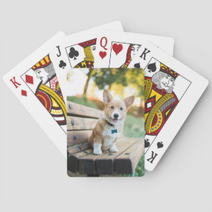 Jeu De Cartes Animaux de bébés cutest   Corgi Puppy sur un banc 