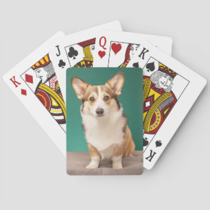 Jeu De Cartes Animaux de bébés cutest   Corgi sur Turquoise