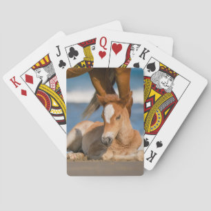 Jeu De Cartes Animaux de bébés cutest Corolla nouvellement née