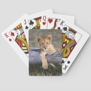 Jeu De Cartes Animaux de bébés cutest Cute Lion Cub