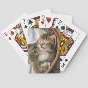 Jeu De Cartes Animaux de bébés cutest   Cute Tabby Chat Dormir