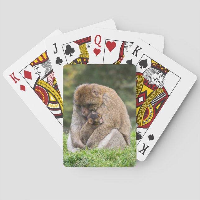 Jeu De Cartes Animaux de bébés cutest | Famille Barbary Macaque (dos)