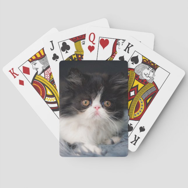 Jeu De Cartes Animaux de bébés cutest | Fluffy B&W Kitten (dos)