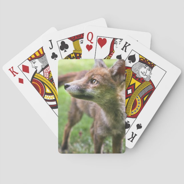 Jeu De Cartes Animaux de bébés cutest | Fox urbain (dos)