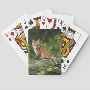 Jeu De Cartes Animaux de bébés cutest Foxy Smile