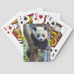 Jeu De Cartes Animaux de bébés cutest Géant Panda Cub