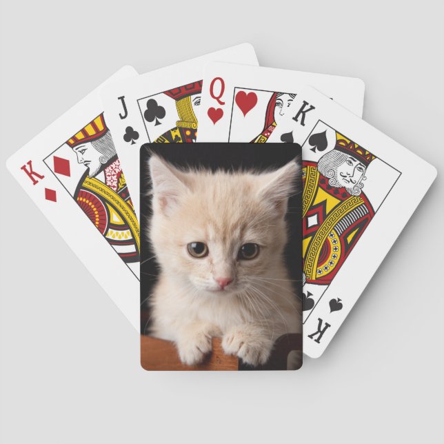 Jeu De Cartes Animaux de bébés cutest | Ginger Kitten (dos)