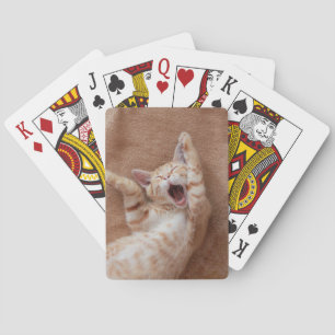 Jeu De Cartes Animaux de bébés cutest Ginger Kitten Yawning