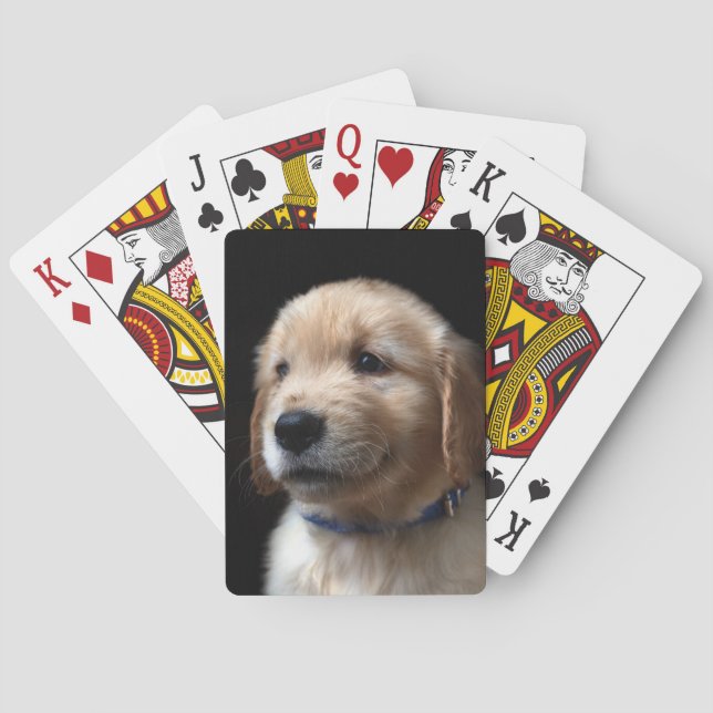 Jeu De Cartes Animaux de bébés cutest | Golden Retriever Puppy (dos)