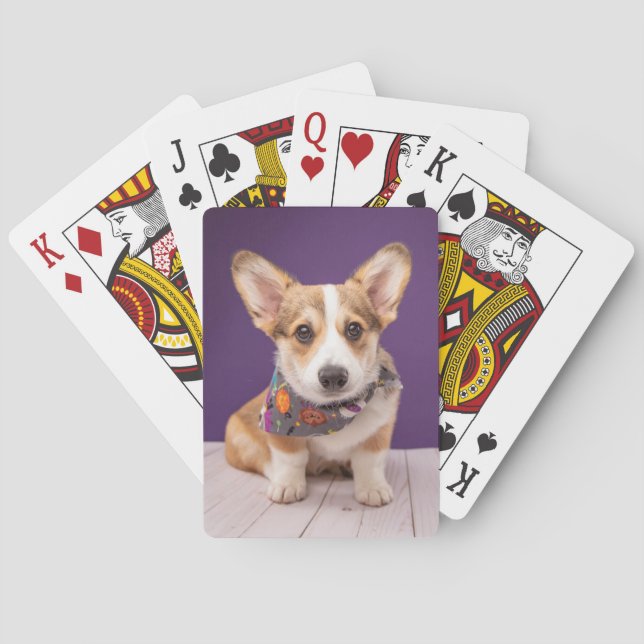 Jeu De Cartes Animaux de bébés cutest | Halloween Corgi (dos)