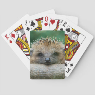 Jeu De Cartes Animaux de bébés cutest   Hedgehog Smile