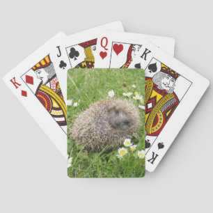 Jeu De Cartes Animaux de bébés cutest   Hérisson espagnol