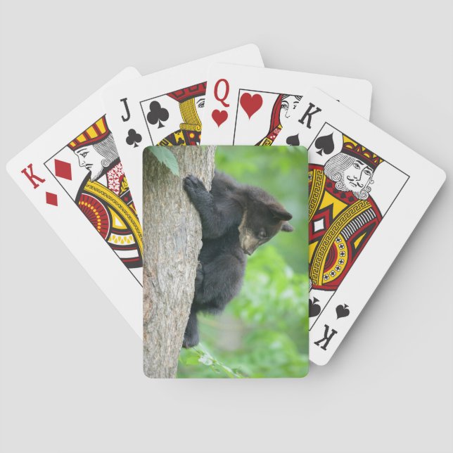 Jeu De Cartes Animaux de bébés cutest | Jeune ours Ours Noir (dos)