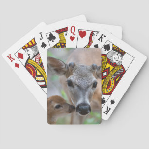 Jeu De Cartes Animaux de bébés cutest Key Deer Stag & Fawn