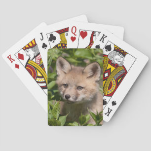 Jeu De Cartes Animaux de bébés cutest   Kit Fox