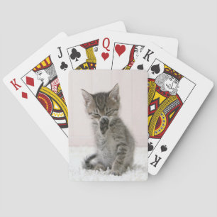 Jeu De Cartes Animaux de bébés cutest Licking Tabby Kitten