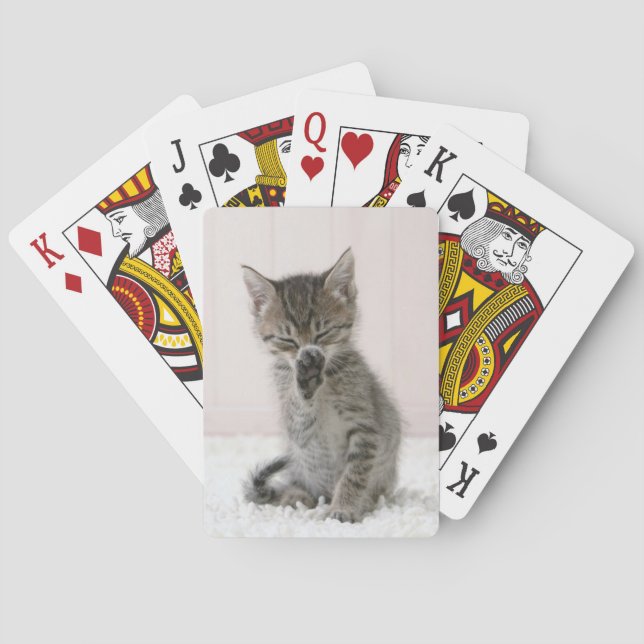 Jeu De Cartes Animaux de bébés cutest | Licking Tabby Kitten (dos)