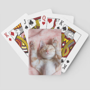 Jeu De Cartes Animaux de bébés cutest   Minuscule chaton rayé or