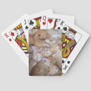 Jeu De Cartes Animaux de bébés cutest Orange Kitten Pile