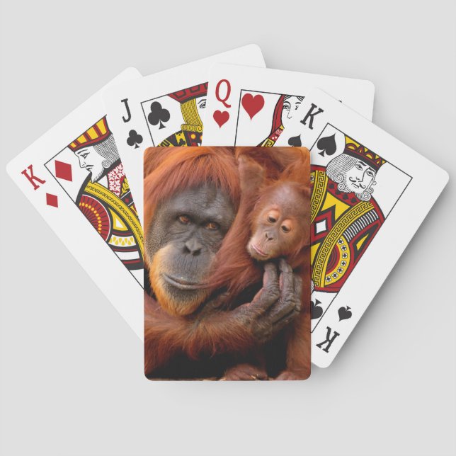 Jeu De Cartes Animaux de bébés cutest | Orangutan Maman & Baby (dos)
