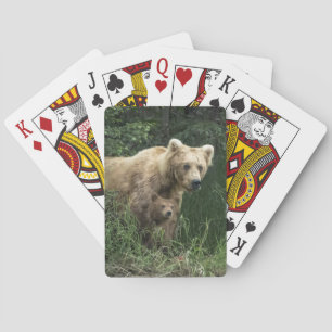 Jeu De Cartes Animaux de bébés cutest   Ours Mama Ours et ses pe