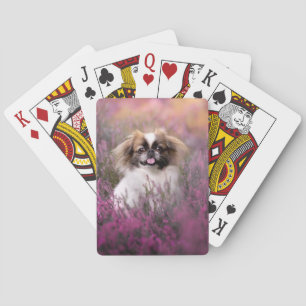 Jeu De Cartes Animaux de bébés cutest Pekingese Puppy
